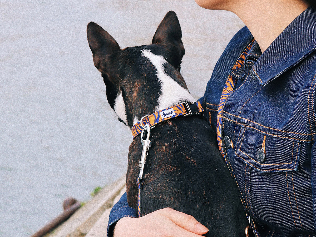Collier motif tigré orange et bleu