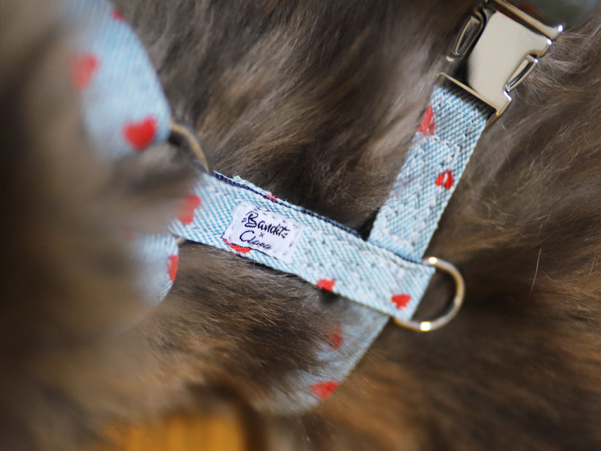 Le harnais pour chat en denim