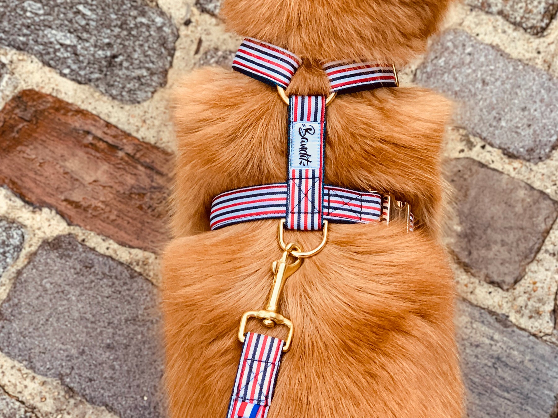Harnais pour chien bleu blanc rouge 2
