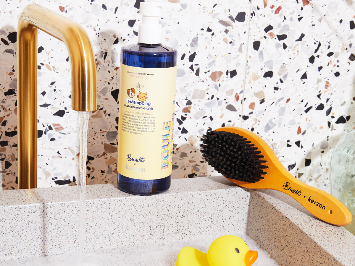La brosse pour chien et chat