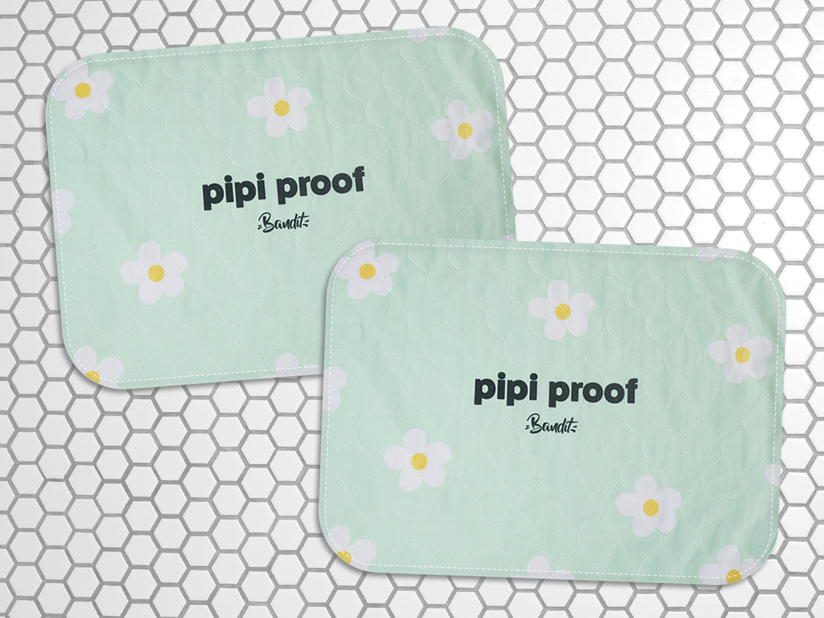 Lot de 2 tapis de propreté