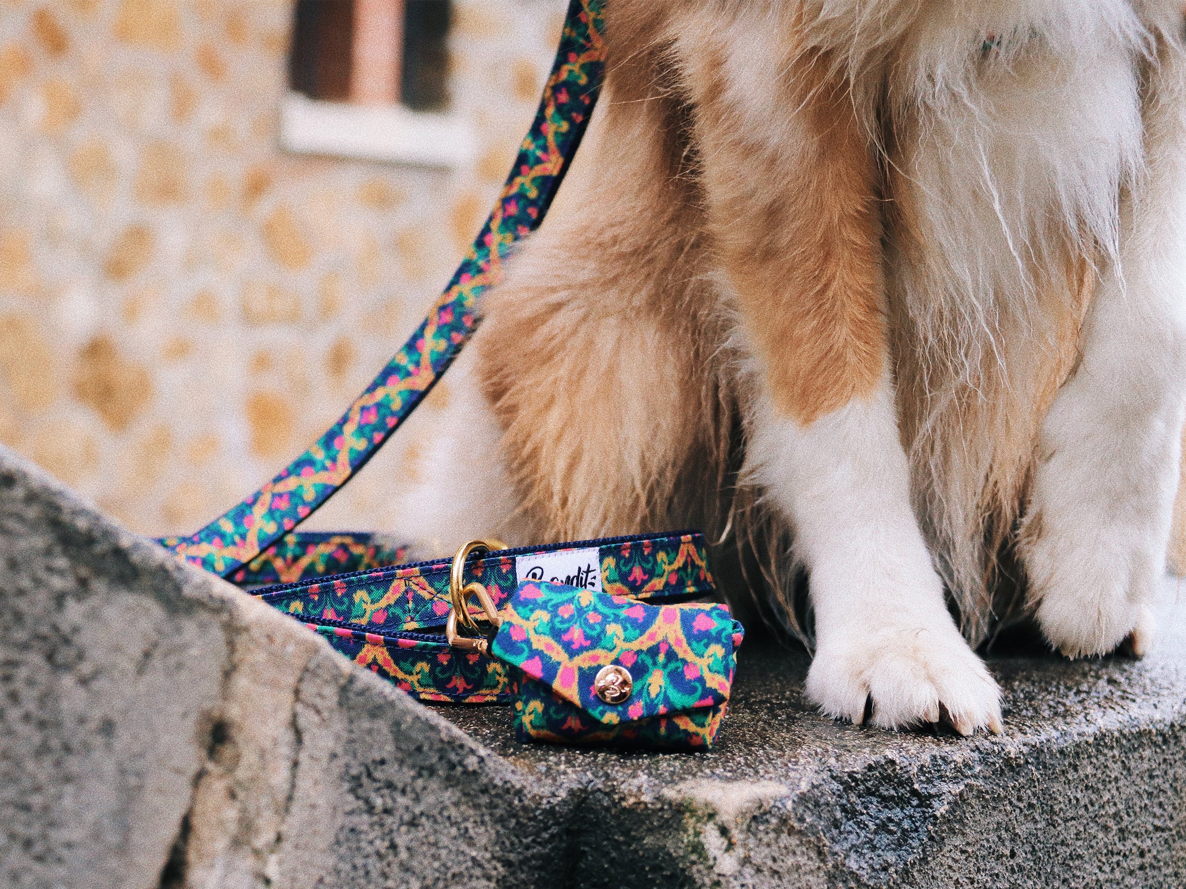 Pochette pour sacs à crottes multicolore