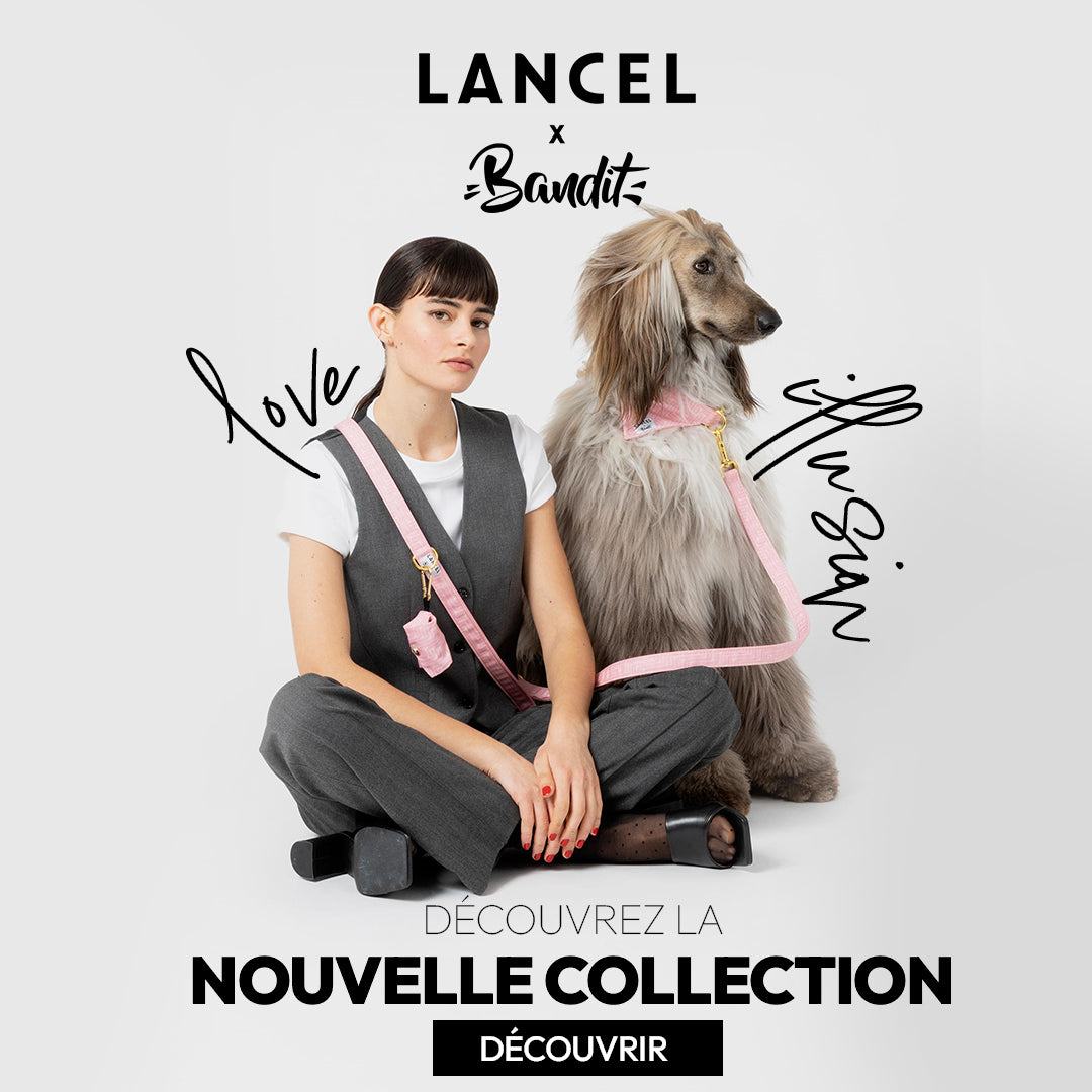 Bandit x Lancel