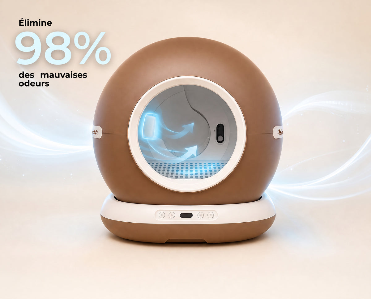 Bac à litière autonettoyant intelligent