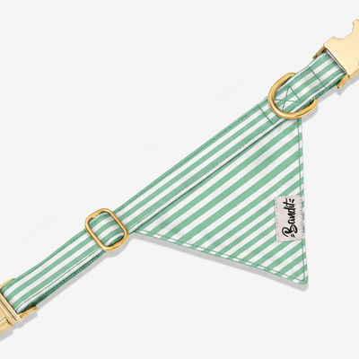 Bandana pour chien rayé vert et blanc