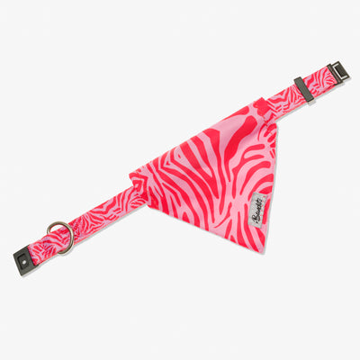 Bandana chat zebre rose