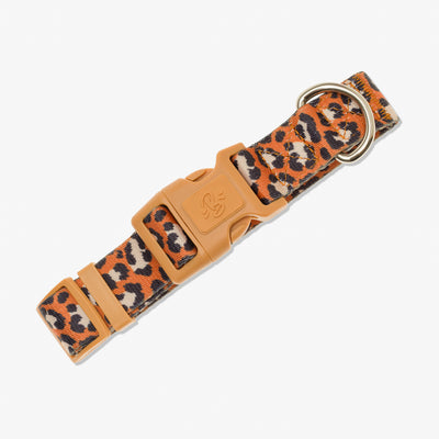 Collier chien léopard foncé