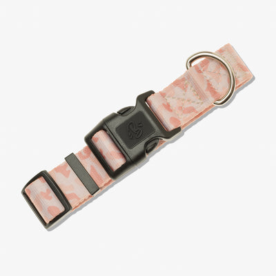 Collier chien camouflage sable