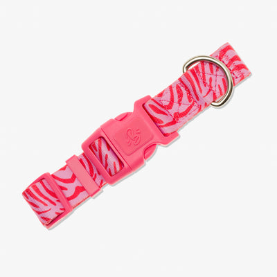 Collier chien zebre rose