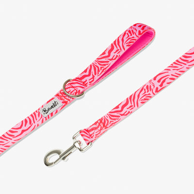 Laisse pour chien zebre rose