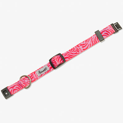 Collier pour chat zebre rose