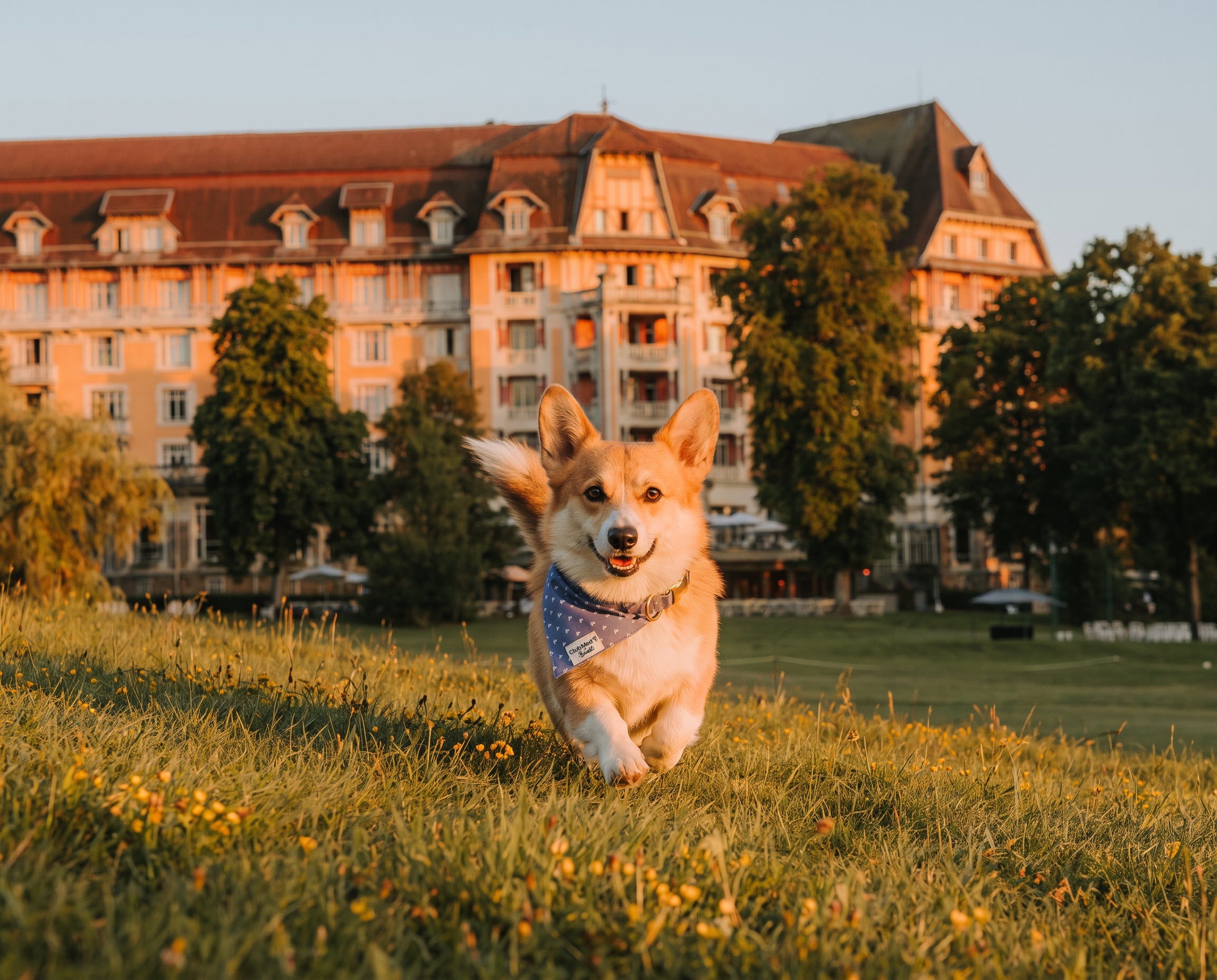 Bandana pour chien Club Med x Bandit