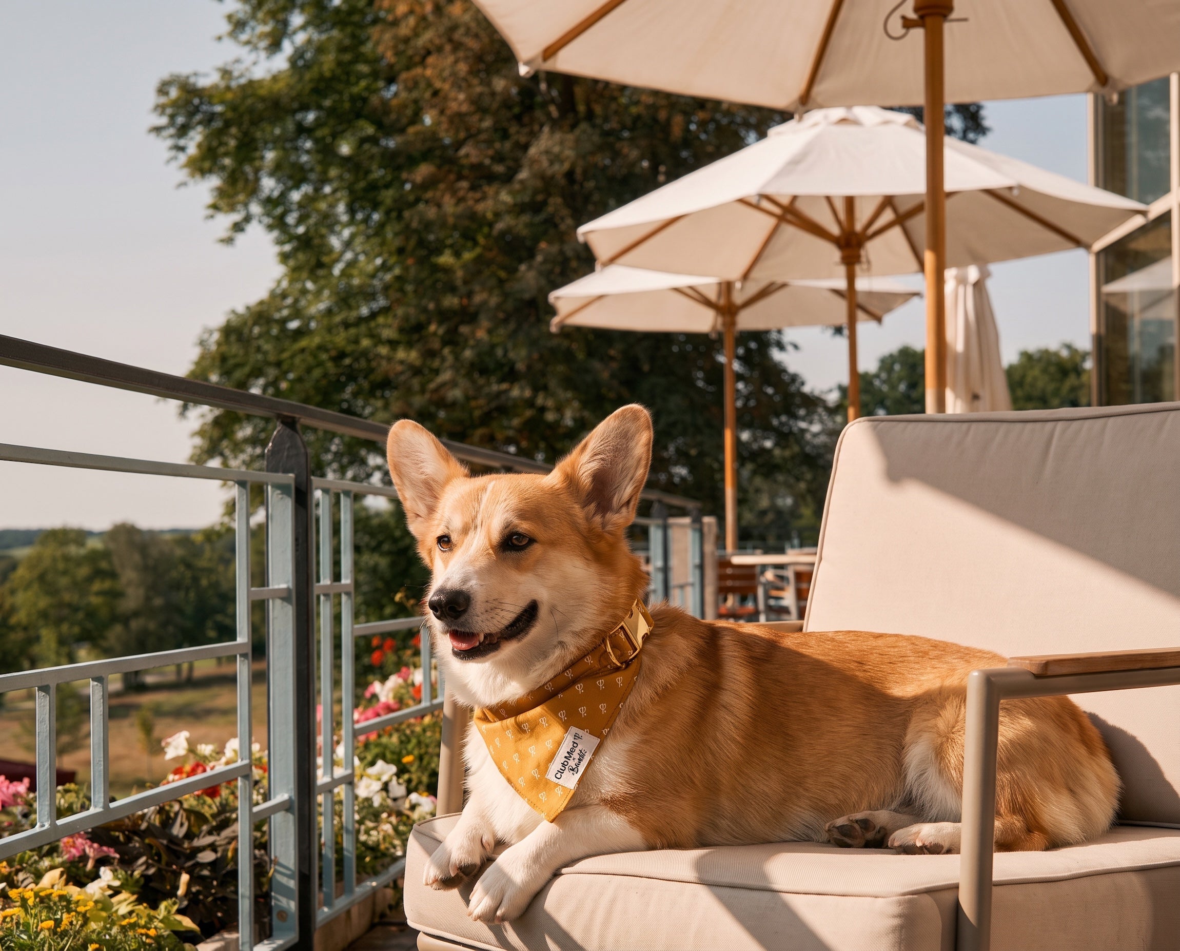 Bandana pour chien Club Med x Bandit