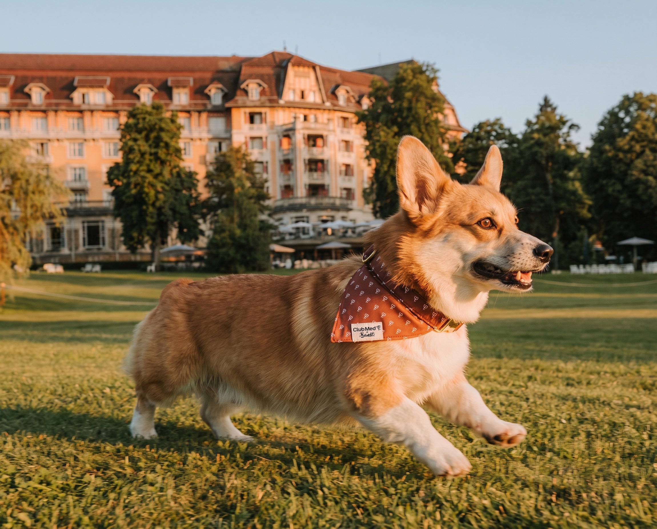 Bandana pour chien Club Med x Bandit