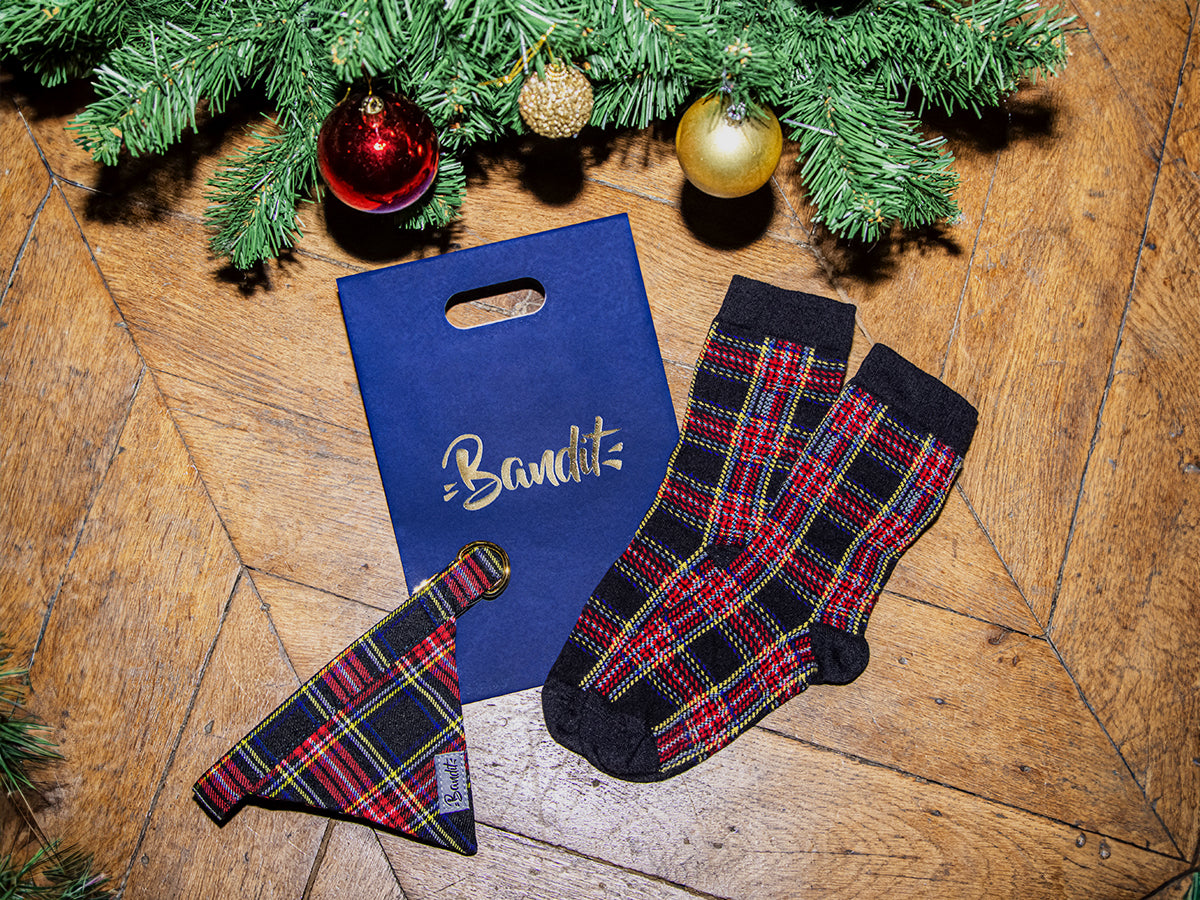 Le coffret matchy-matchy chien Oh My Lord