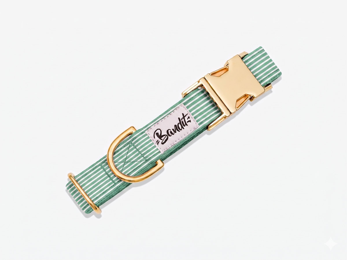 Collier chien rayé vert et blanc