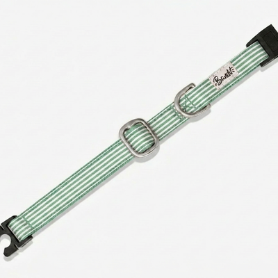 Collier pour chat rayé vert et blanc