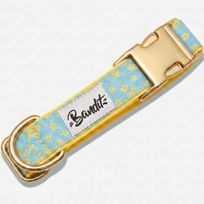 Collier chien jean fleurs jaunes