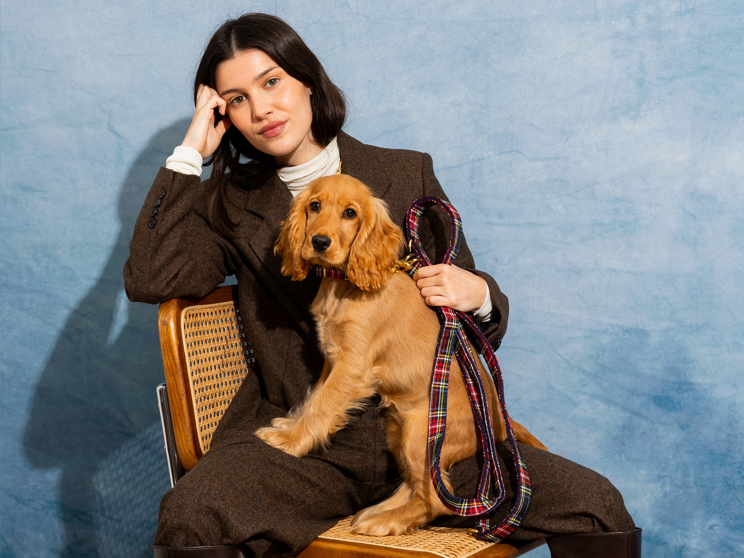 Laisse pour chien tartan