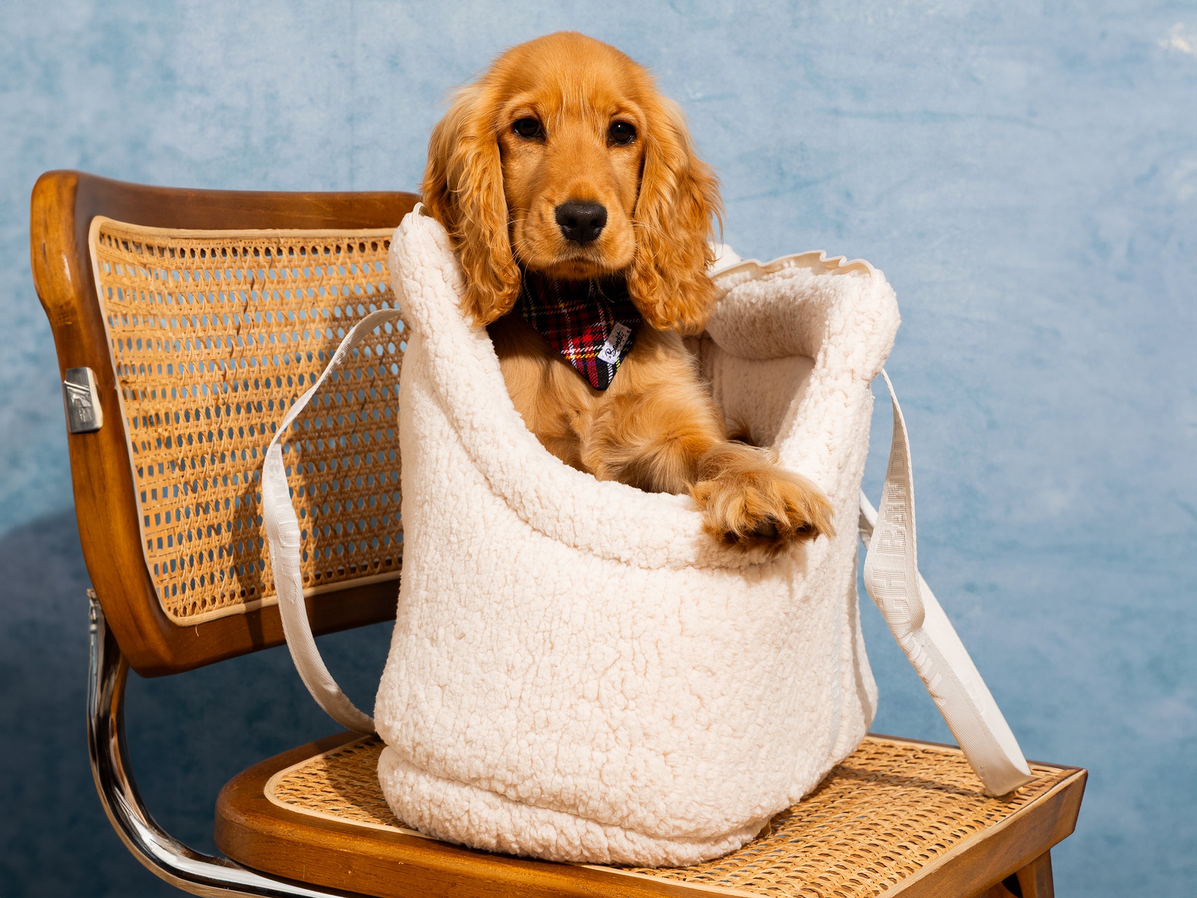 CARRYING BAG - Sherpa