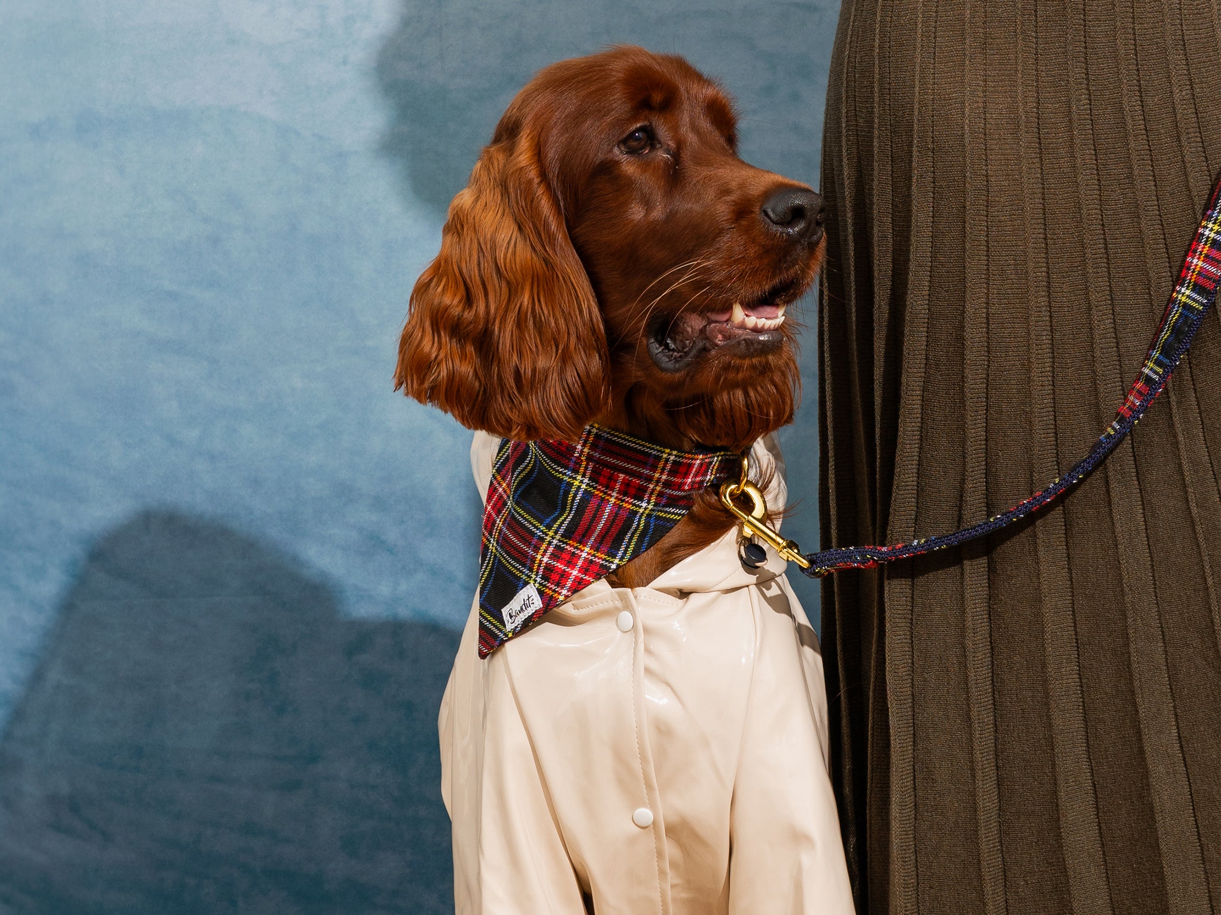 Bandana pour chien tartan