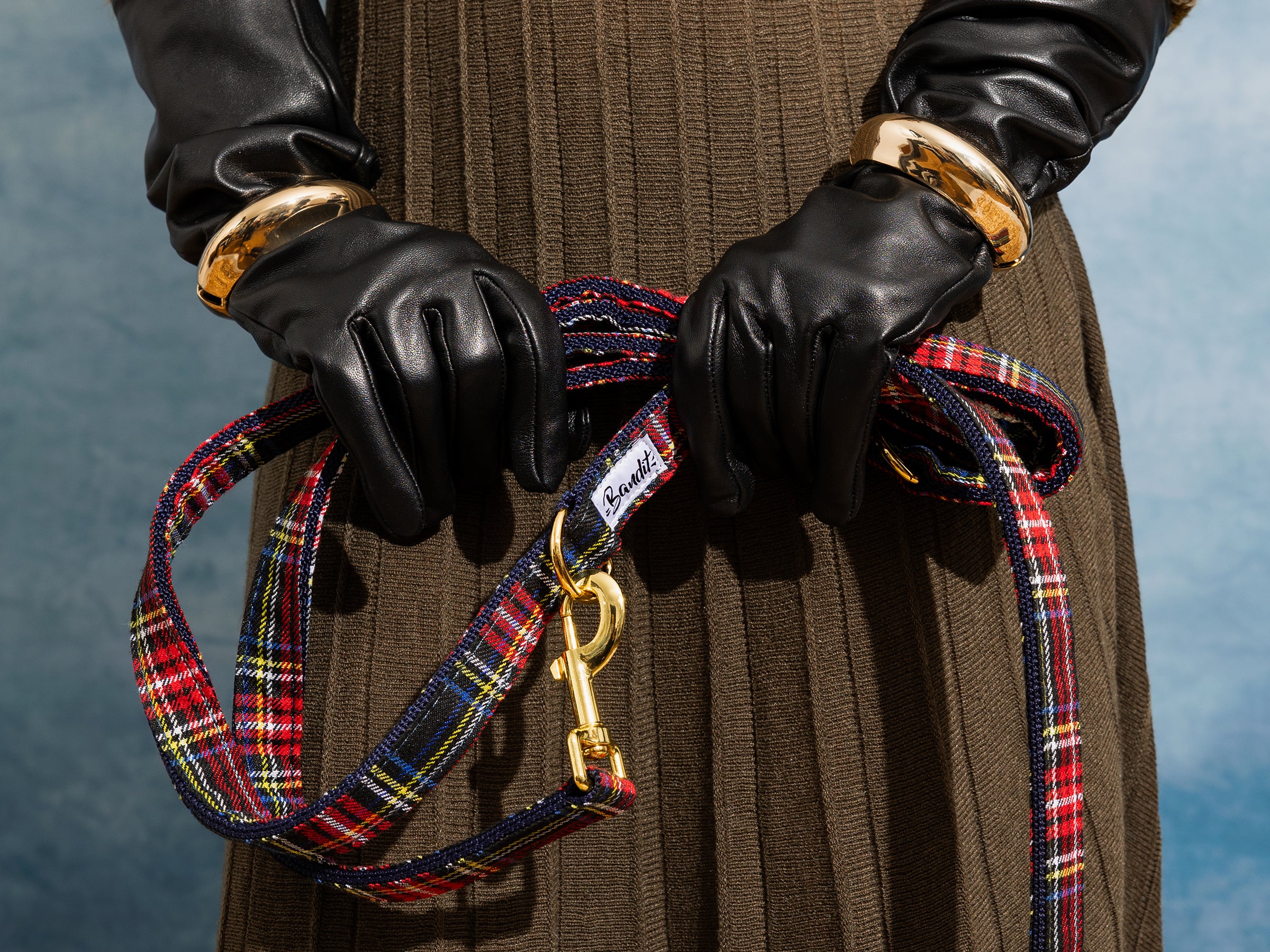 Correa para perro de tartán con 4 posiciones