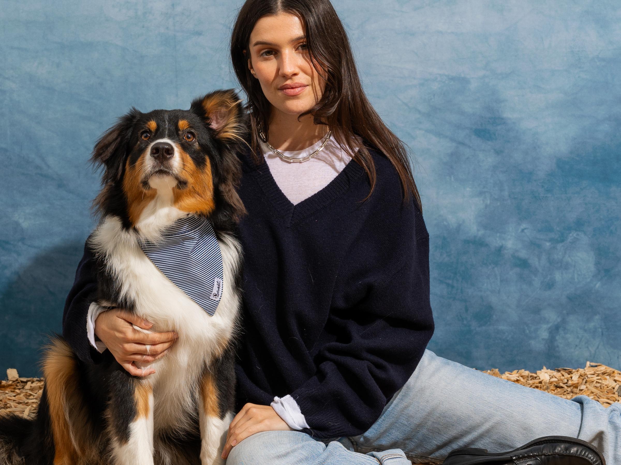 Pañuelo para perro con rayas azules y blancas