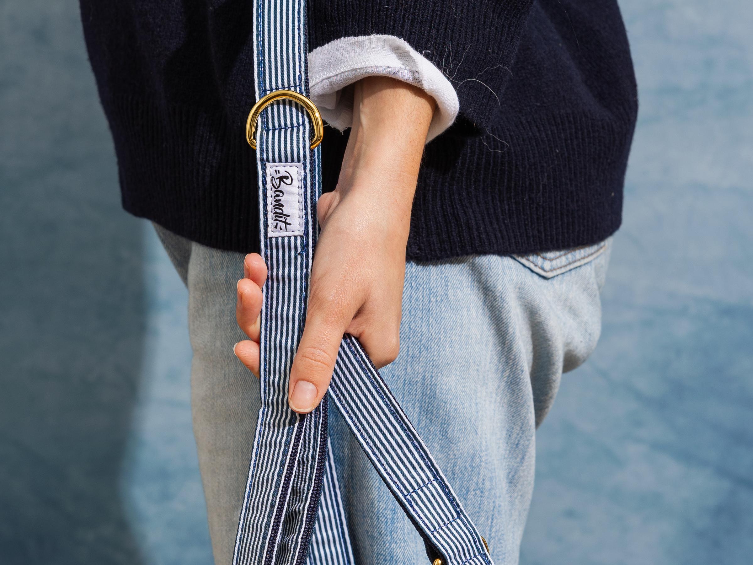 Laisse pour chien rayé bleu et blanc