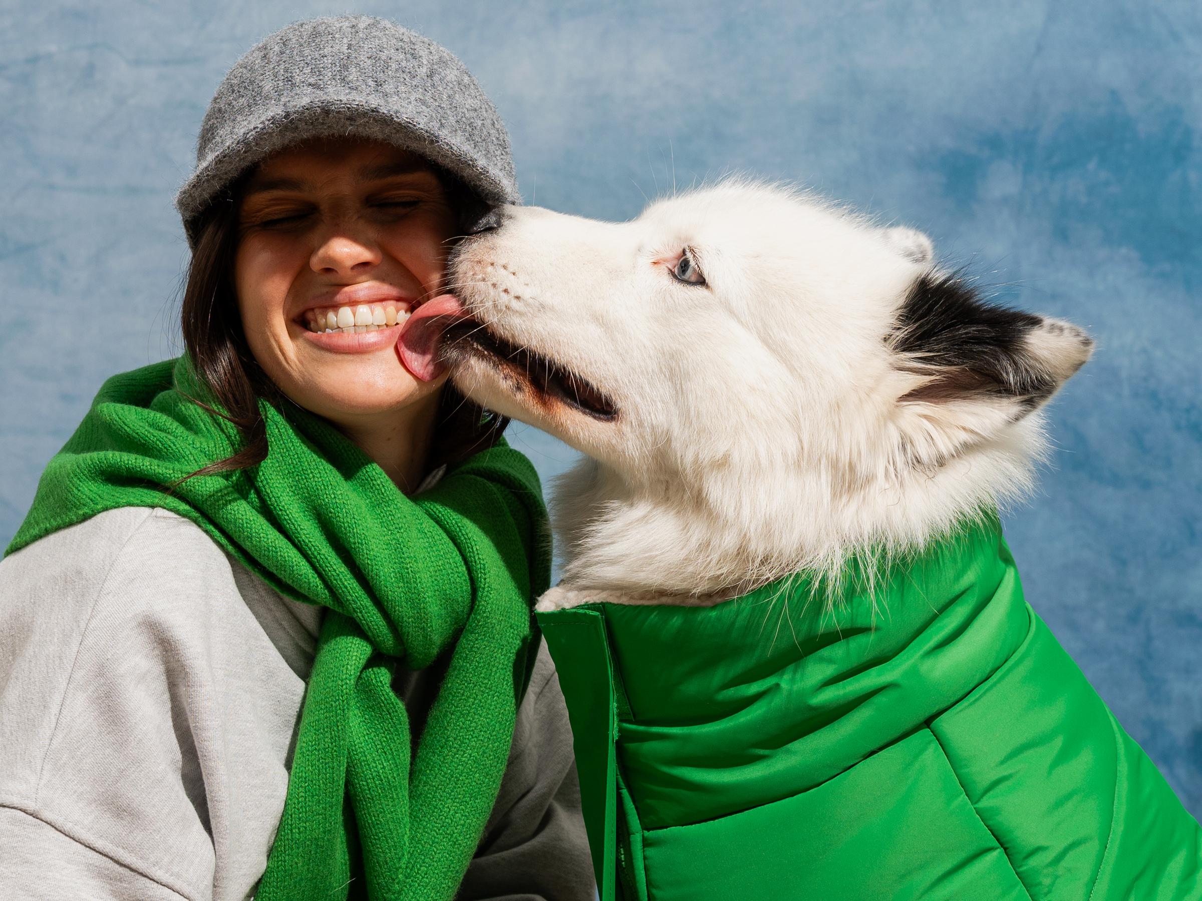 Thick down jacket for dogs