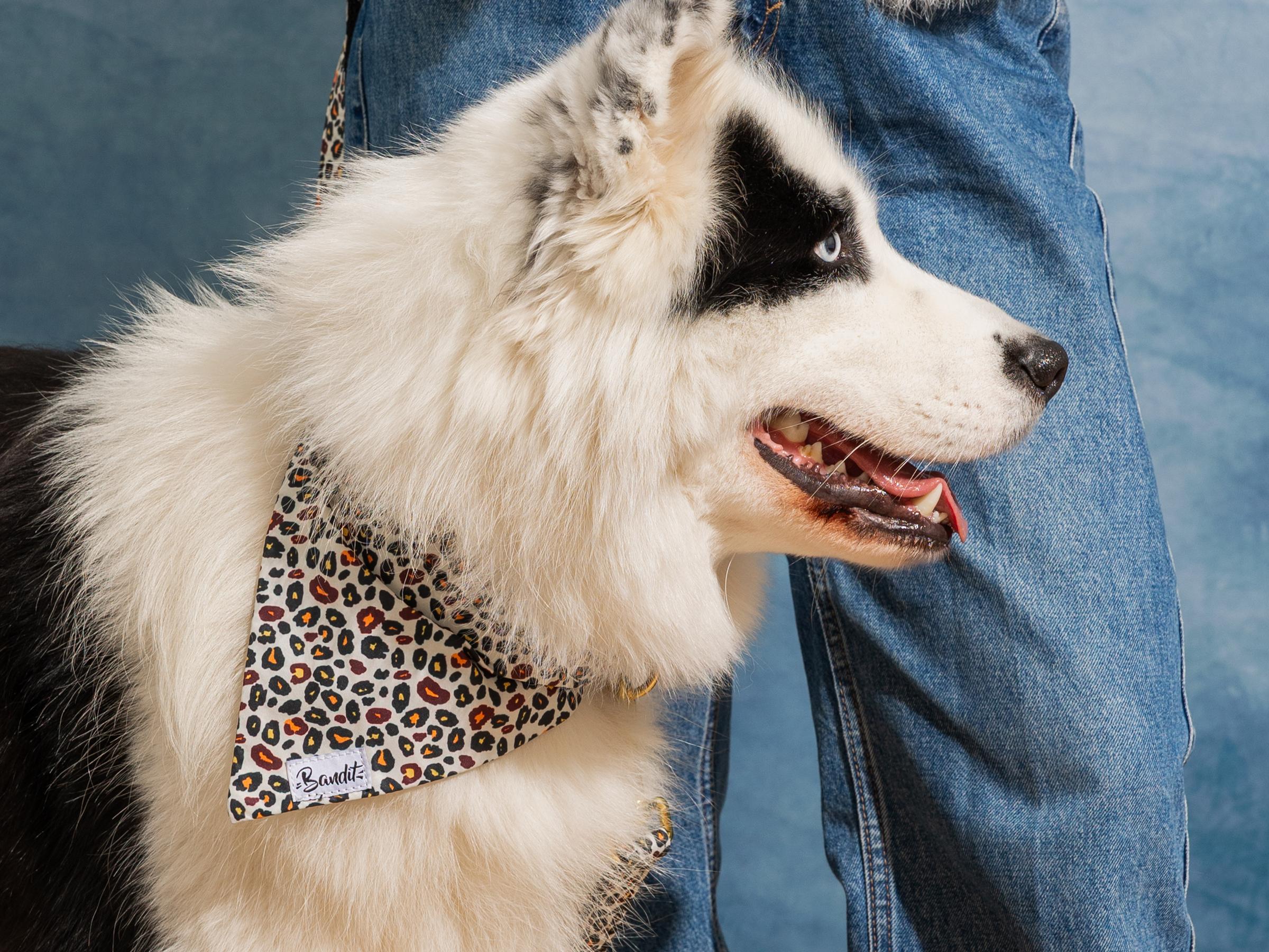 Bandana para perro con estampado de leopardo