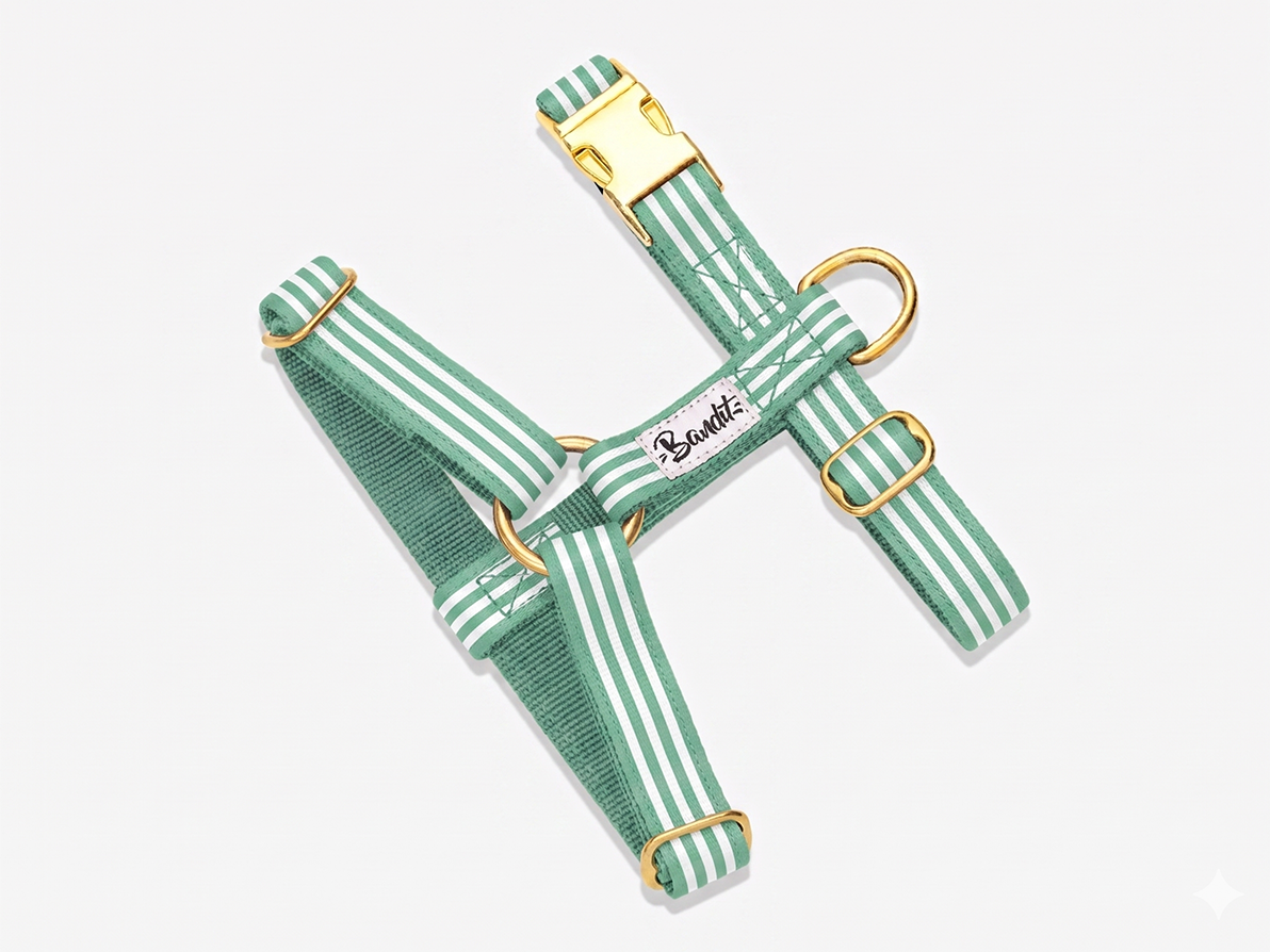 Harnais chien rayé vert et blanc