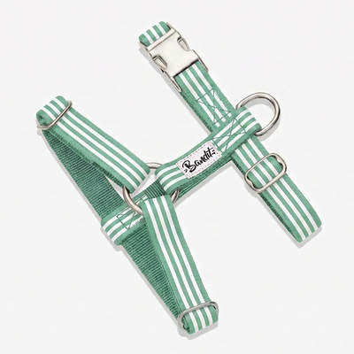 Harnais chien rayé vert et blanc