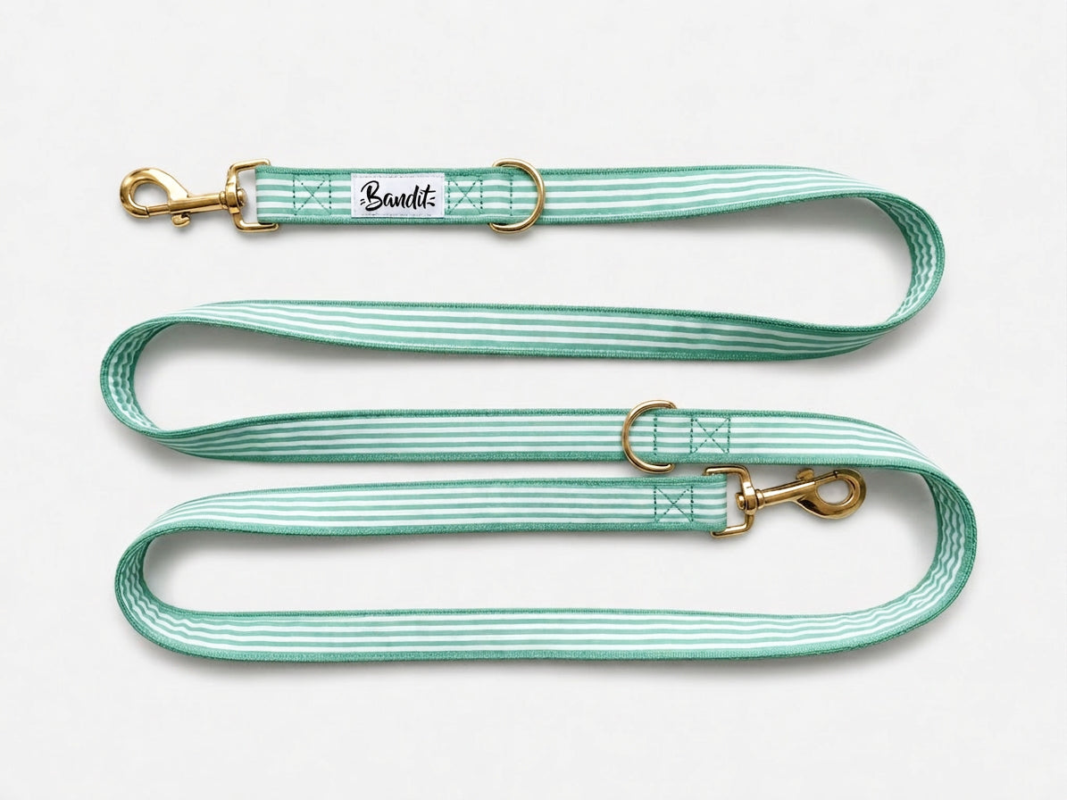 Laisse pour chien rayé vert et blanc