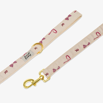 Laisse pour chien Bandit x Romy