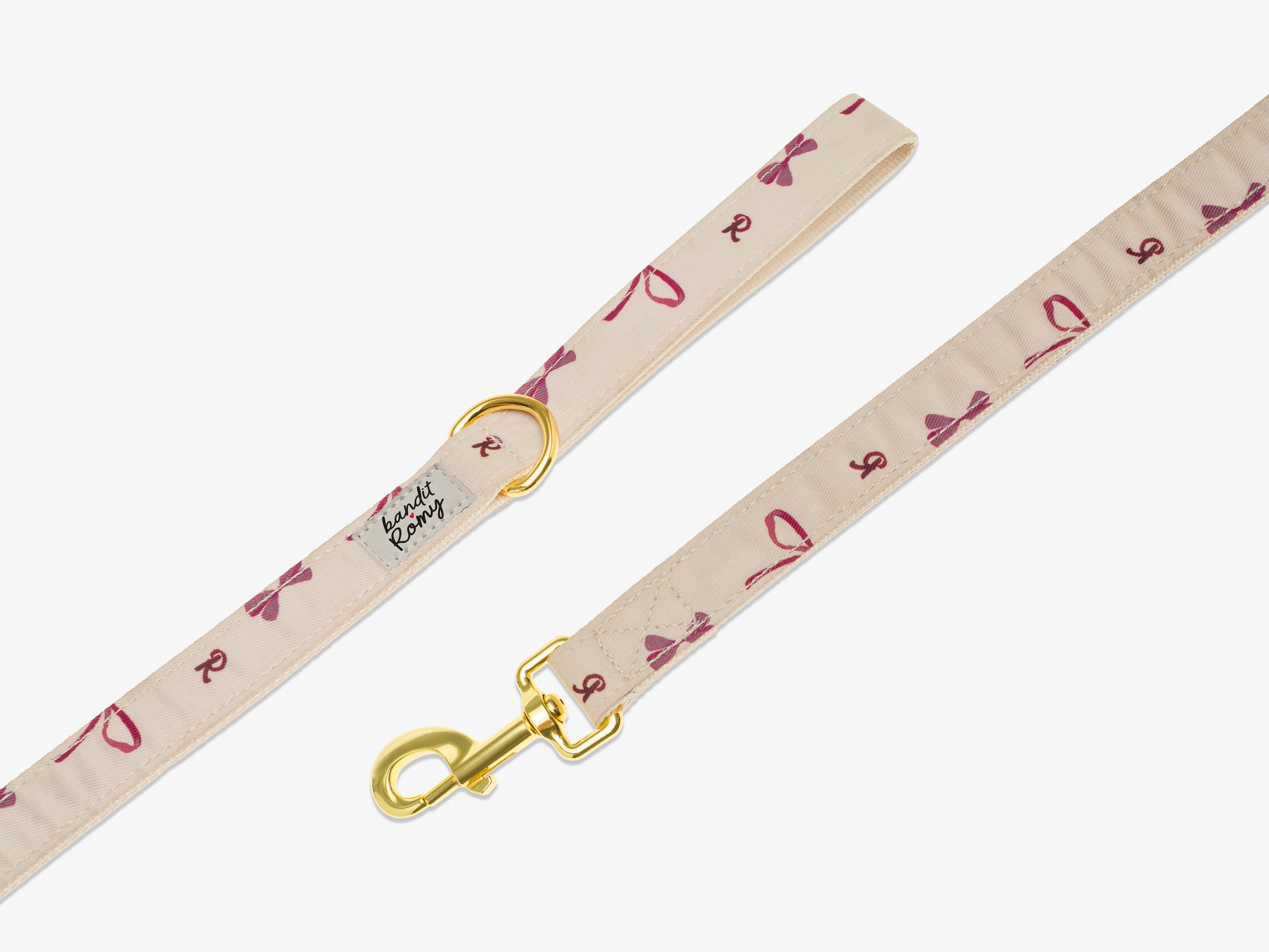 Laisse pour chien Bandit x Romy