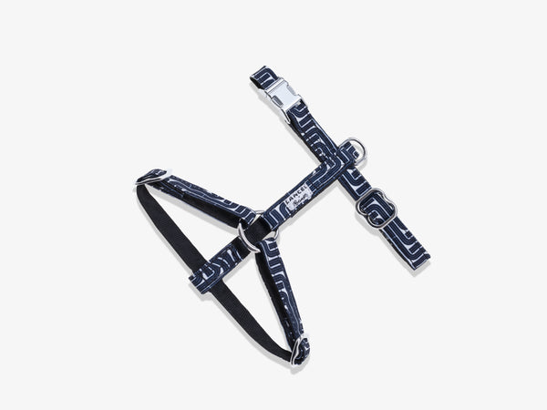 Harnais pour chat Bandit x Lancel