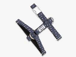 Harnais pour chien Bandit x Lancel