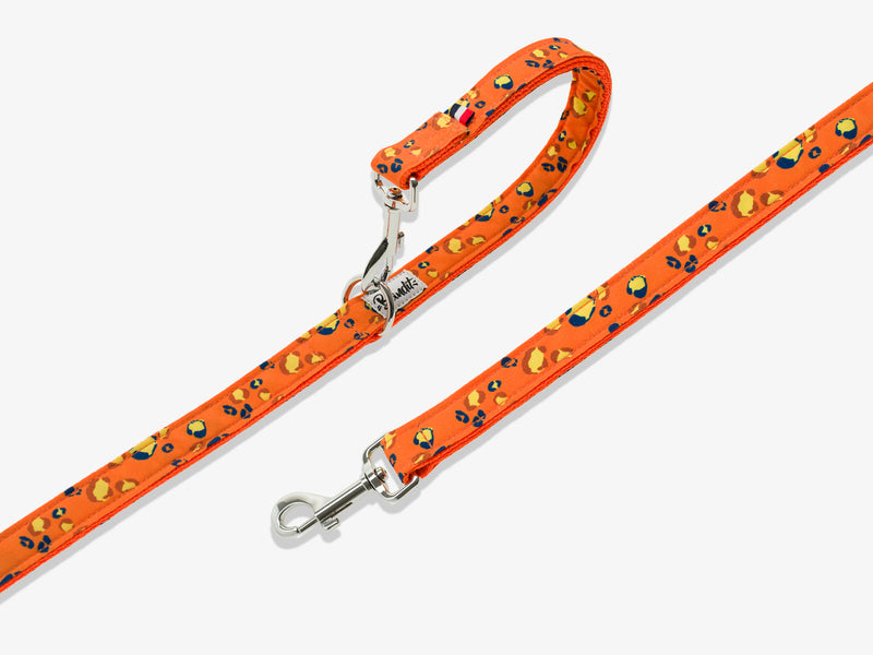 Laisse pour chien léopard orange