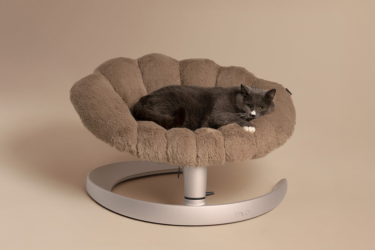 Fauteuil suspendu pour animaux Shell Tavo