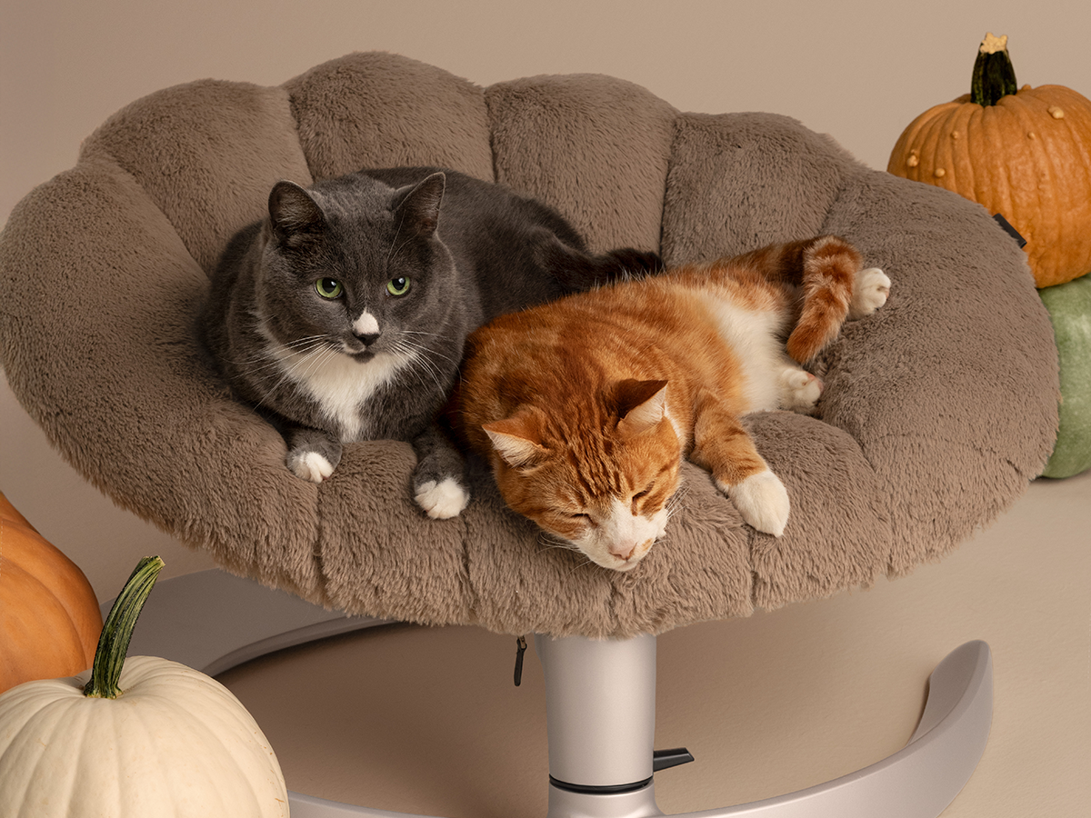 Fauteuil suspendu pour animaux Shell Tavo