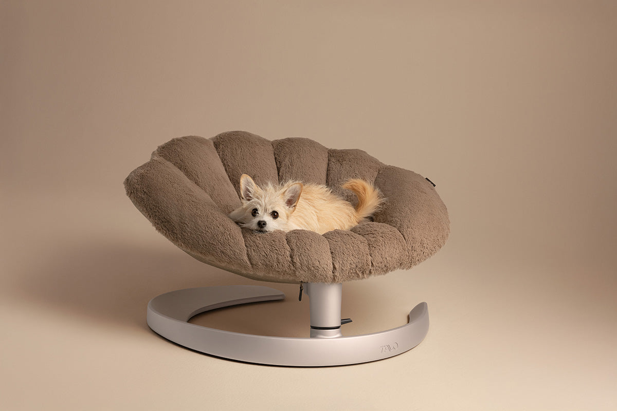 Fauteuil suspendu pour animaux Shell Tavo