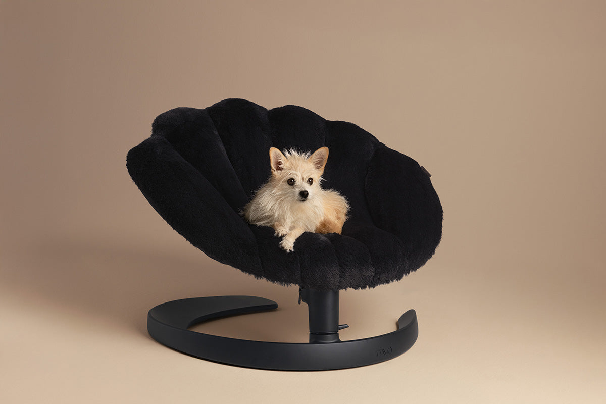 Fauteuil suspendu pour animaux Shell Tavo
