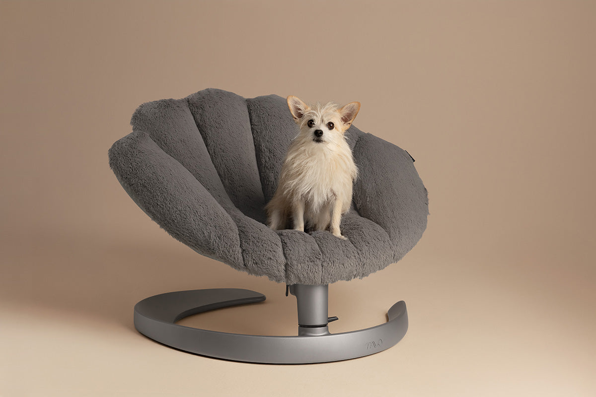 Fauteuil suspendu pour animaux Shell Tavo