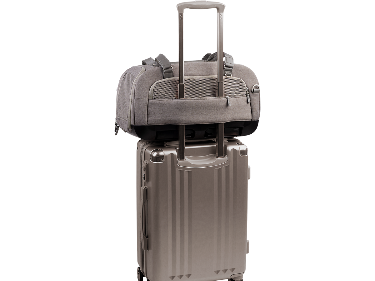 Sac de transport Dupree Tavo