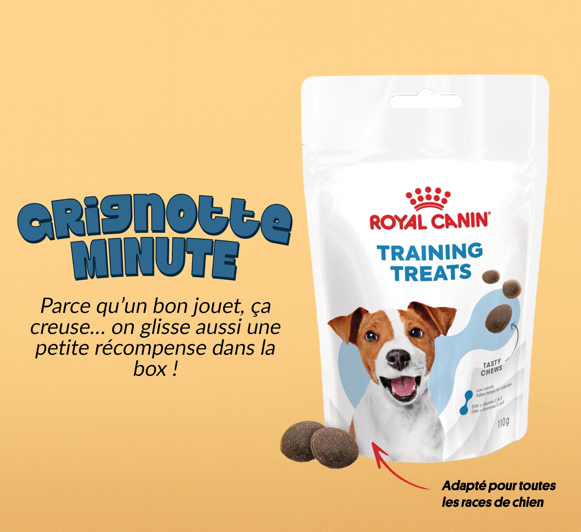 Box jouet pour chien – 2 jouets exclusifs + friandises