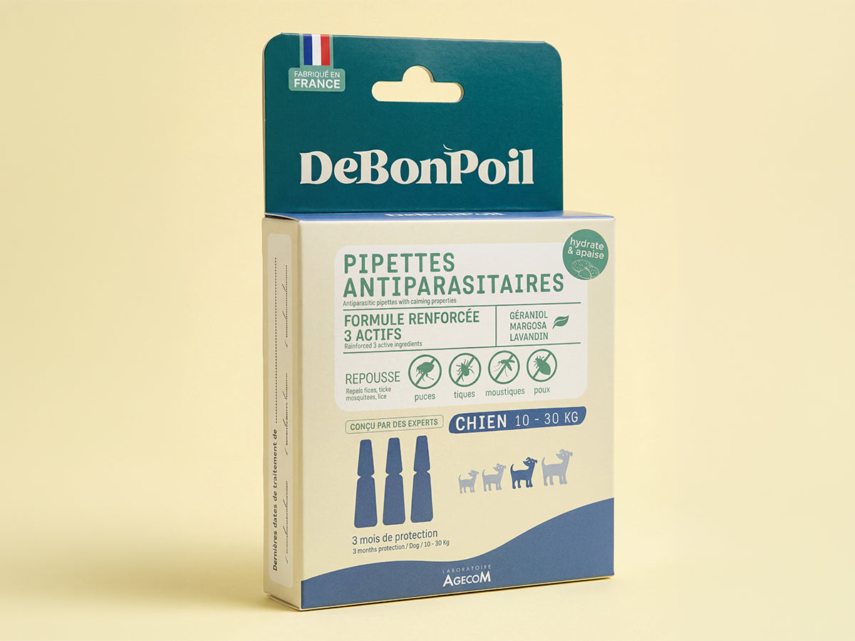 Pipettes antiparasitaires chien