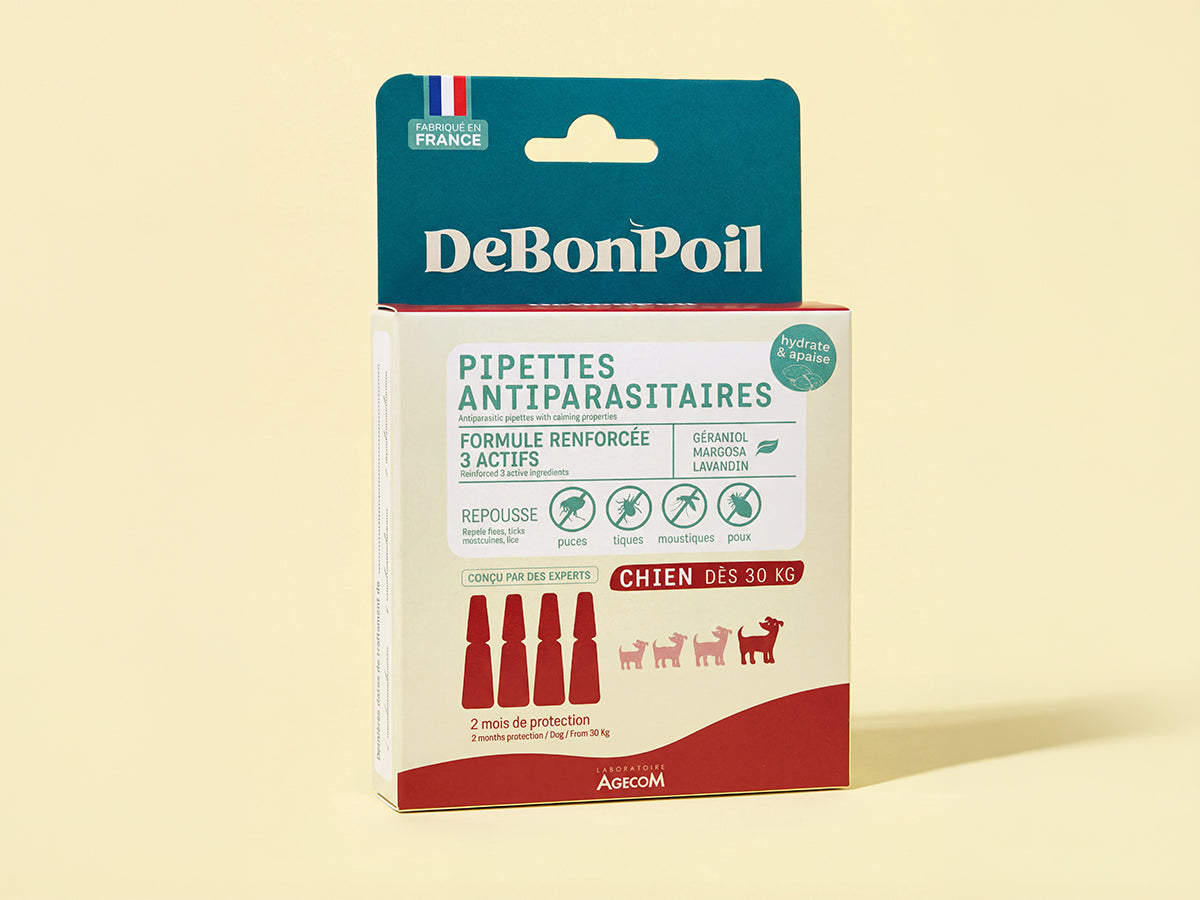 Pipettes antiparasitaires chien