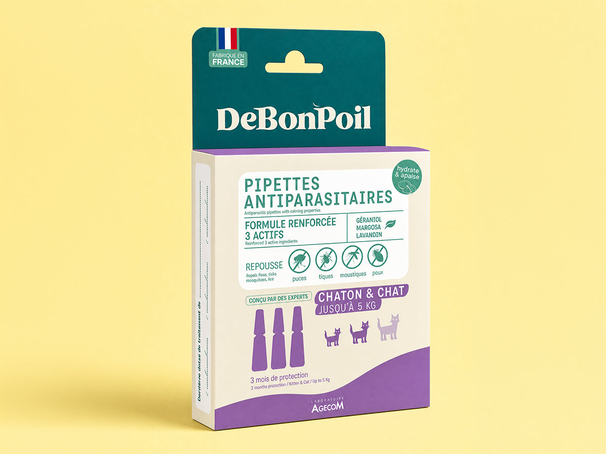 Pipettes antiparasitaires chat