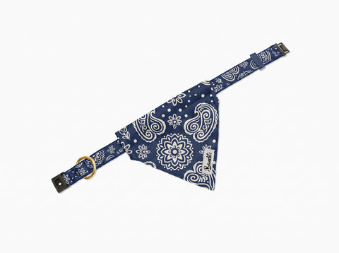 Bandana chat motif Minuit Essentiel