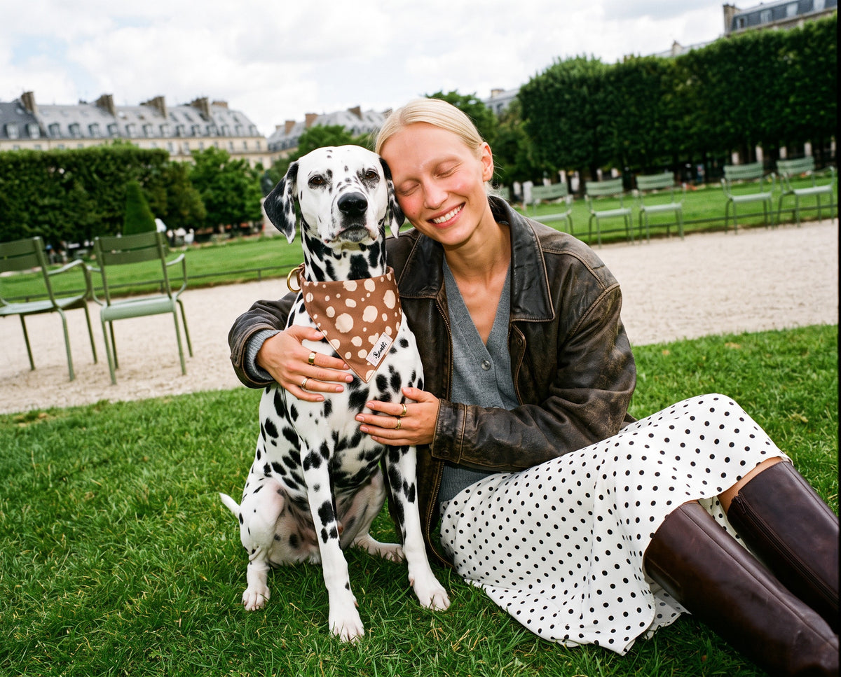 Bandana pour chien motif Faon (pois beige sur fond marron) Essentiel French Bandit porté par un dalmatien dans un jardin parisien